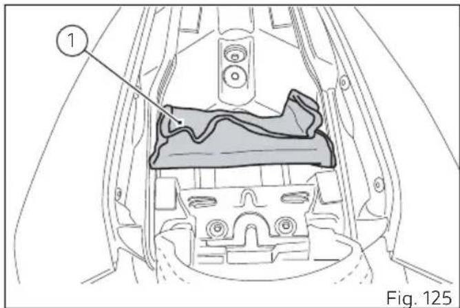 1 Fig. 125