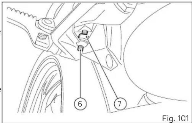 Fig. 101