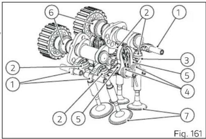 Fig. 161