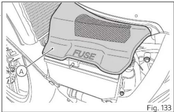 FUSE A Fig. 133