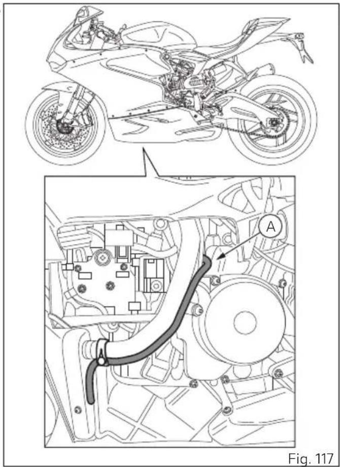 Fig. 117