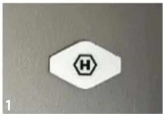 H 1