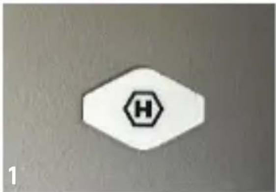 H 1