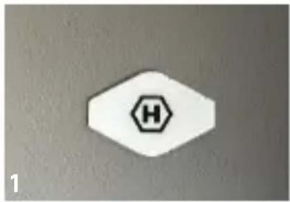 H 1