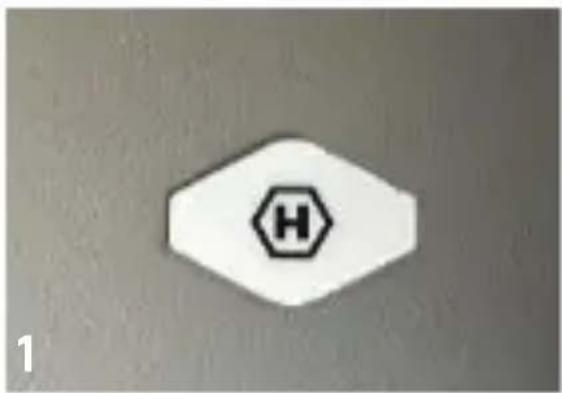 H 1
