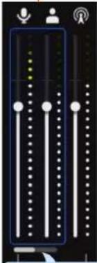 ROLAND Bridge Cast - Section INPUT - 8