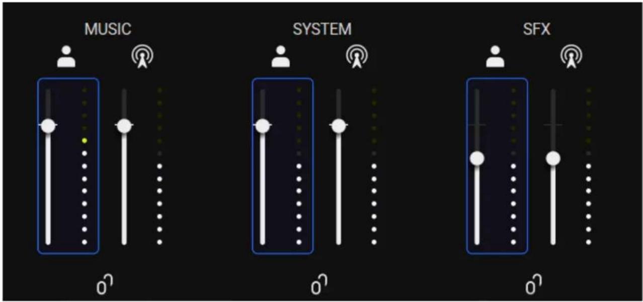 ROLAND Bridge Cast - Section INPUT - 2