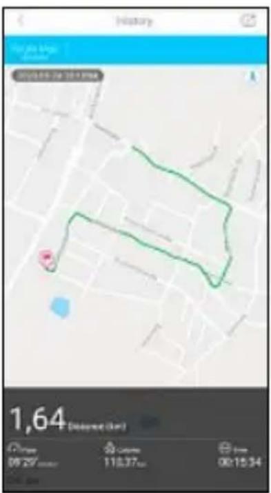 HAMA Fit Track 3900 - 6.2.5Sportmode - 3