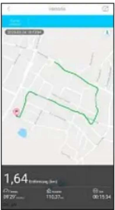 HAMA Fit Track 3900 - 6.2.5Sportmodus - 3