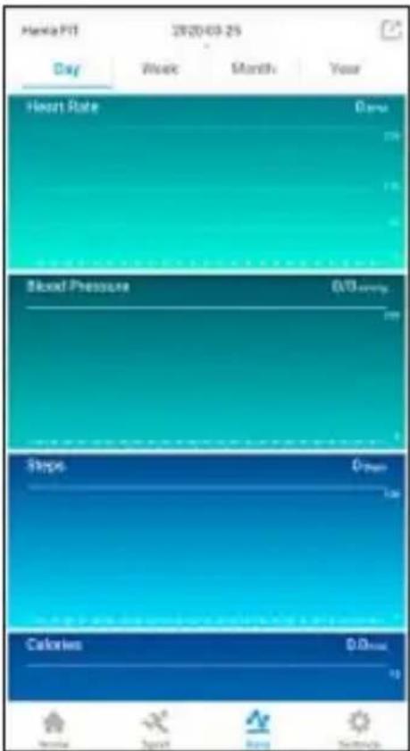 HAMA Fit Track 3900 - Summary of daily / weekly / monthly / annual successes - 1