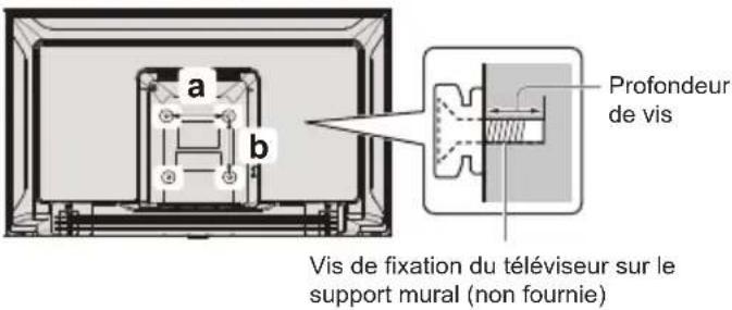 a b Profondeur de vis Vis de fixation du téléviseur sur le support mural (non fournie)