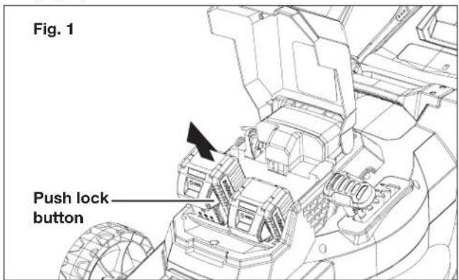 Fig. 1 Push lock button