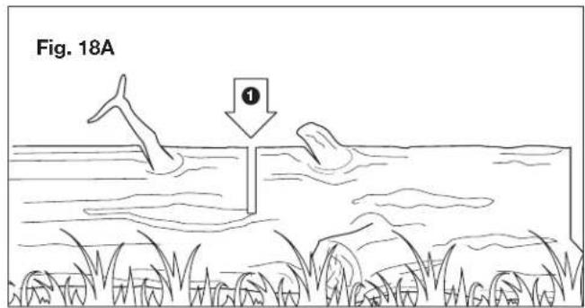 Fig. 18A