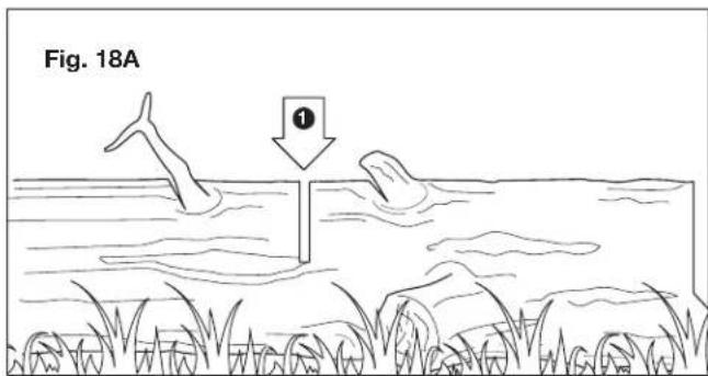 Fig. 18A ①