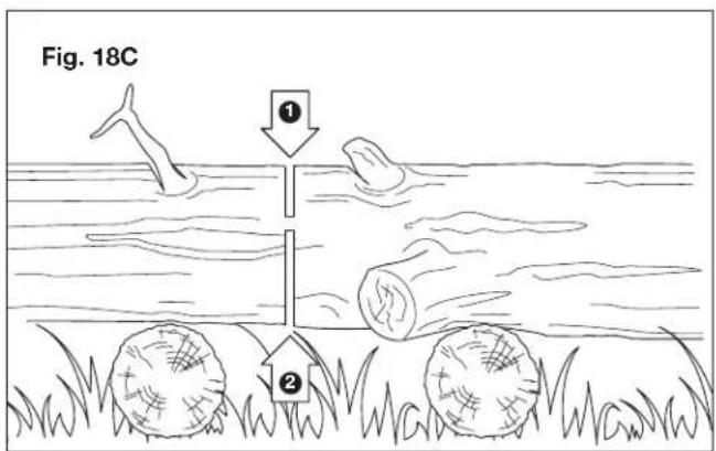 Fig. 18C ① ②
