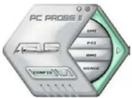 PC PROSE II DHI PCI BMI USAGE COMP 10