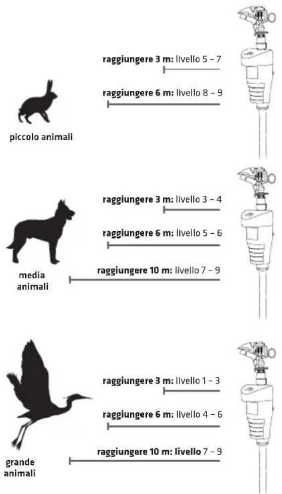 raggiungere 3 m: livello 5 - 7 raggiungere 6 m: livello 8 - 9 ------ ------ ------ ------ ------ ------ ------ ------ ------ ------ ------ ------ ------ ------ ------ ------ ------ ------ ------ ------ ------ ------ ------ ------ ------ ------ ------ ------ ------ ------ ------ ------ ------ ------ ------ ------ ------ ------ ------ ------ ------ ------ ------ ------ ------ ------ ------ ------ ------ ------ ------- ------- ------- ------- ------- ------- ------- ------- ------- ------- ------- ------- ------- ------- ------- ------- ------- ------- ------- ------- ------- ------- ------- ------- ------- ------- ------- ------- ------- ------- ------- ------- ------- ------- ------- ------- ------- ------- ------- ------- ------- ------- ------- ------- ------- ------- ------- ------- ------- ------- --------