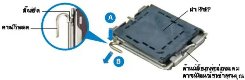 ASUS P5PL2E - การติดตั้ง CPU - 1