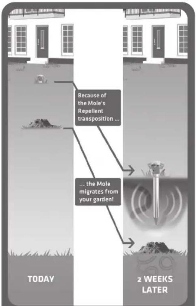 Because of the Mole's Repellent transposition ... ... the Mole migrates from your garden! TODAY 2 WEEKS LATER