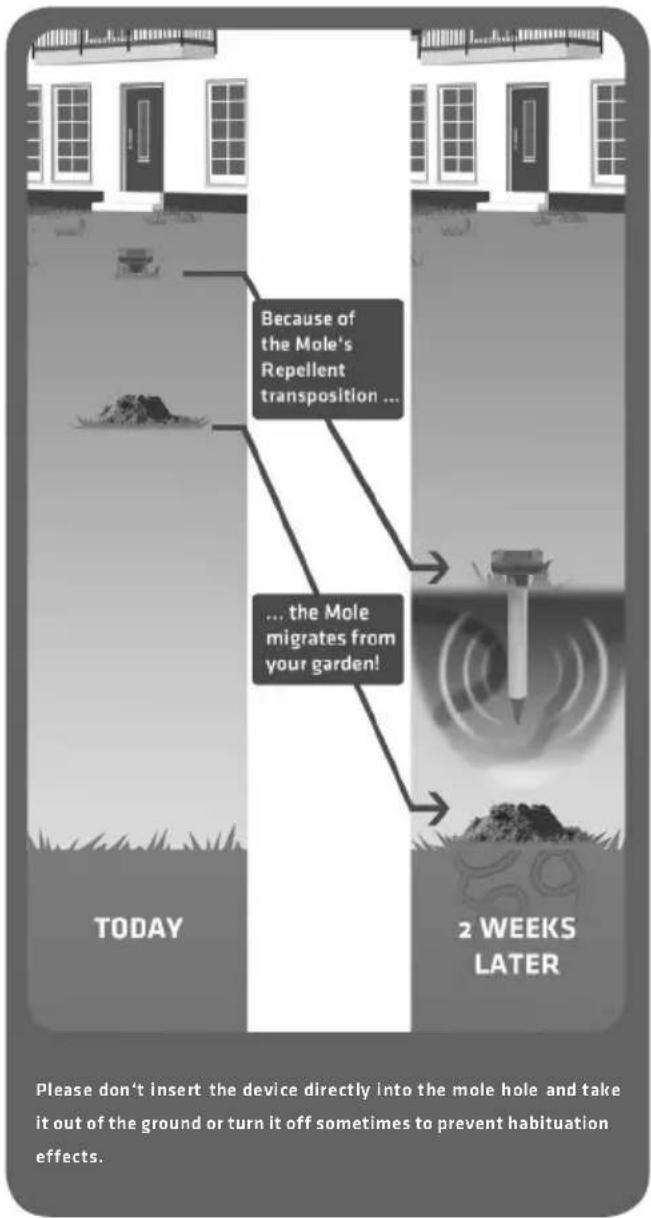 Because of the Mole's Repellent transposition ... ... the Mole migrates from your garden! TODAY 2 WEEKS LATER Please don't insert the device directly into the mole hole and take it out of the ground or turn it off sometimes to prevent habituation effects.