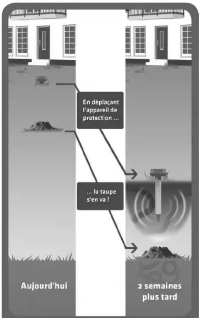 En déplaçant l'appareil de protection ... ... la taupe s'en va ! Aujourd'hui 2 semaines plus tard