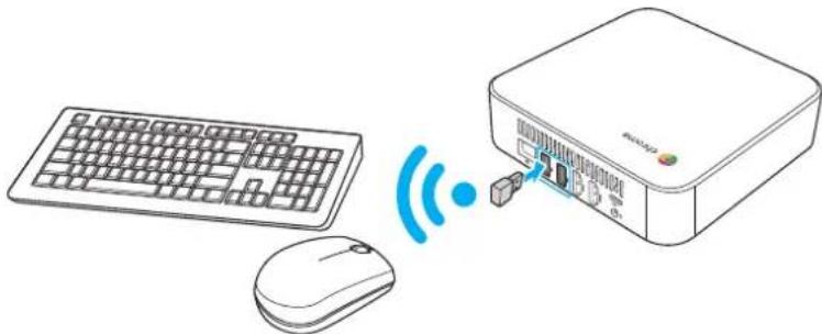 VIEWSONIC NMP760 - Connexion d'une souris et d'un clavier sans fil - 1