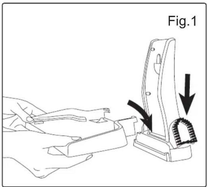 Fig.1