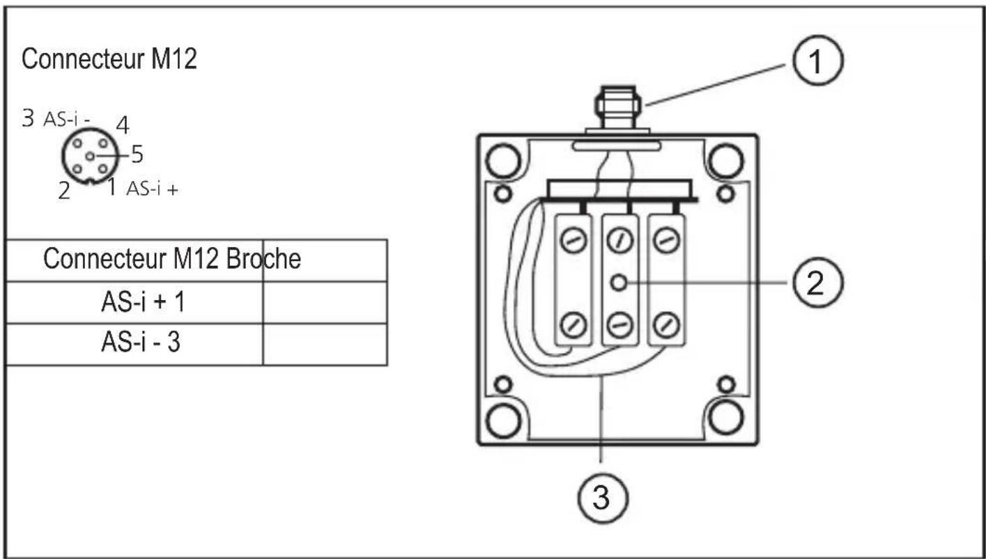 IFM AC010S - Raccordement électrique - 1