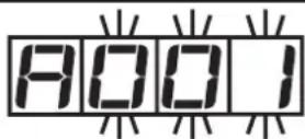 IFM AC1008 - A Address controller (default address = 063) - 1