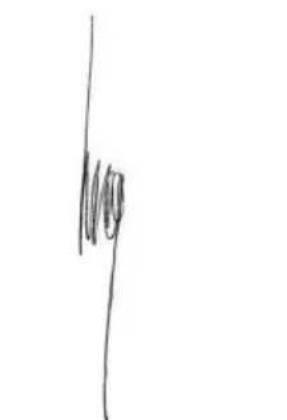 PowerPlus POWDPG8020 - ASSEMBLAGE (FIG. 1) - 1