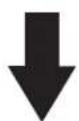 CHAR BROIL 463376217 - ADVERTENCIA - 8