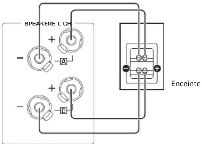 YAMAHA RN2000A - Établissement de connexions bi-câblées - 1