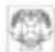 VELLEMAN K8015 - SHUNT Pour deparasiteur: - 1
