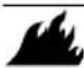 Generac PRO 69191 - Attention - 5