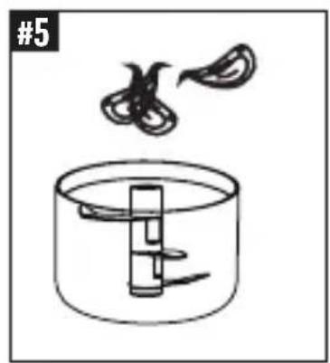 Livington 3 Seconds Chopper - SK - 3