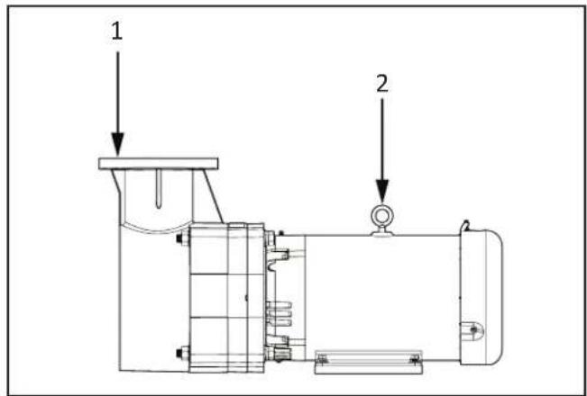 Jandy JCP071BDN - Pump Handling - 1