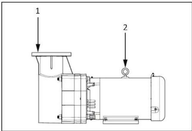 Jandy JCP051CTS - Manipulación de la bomba - 1