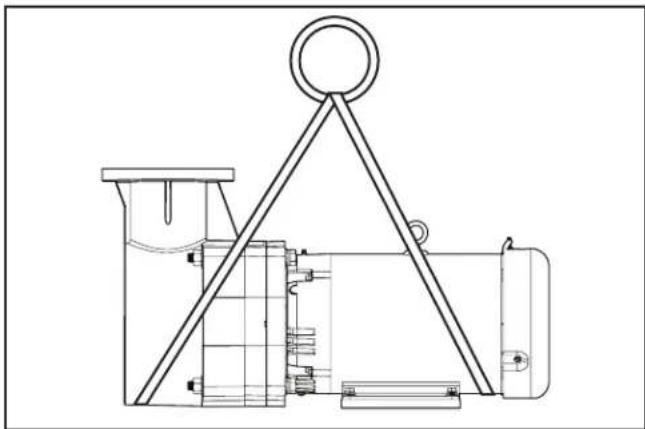 Jandy JCP053ATS - Manipulación de la bomba - 3