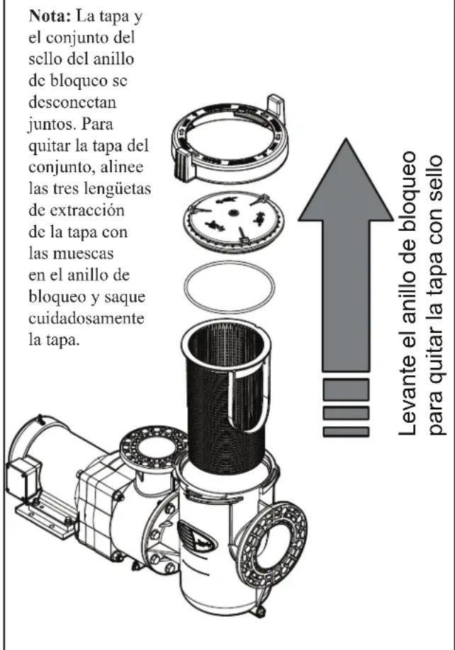Jandy JCP153ATN - PELIGRO DE DESCARGA ELECTRICA - 3