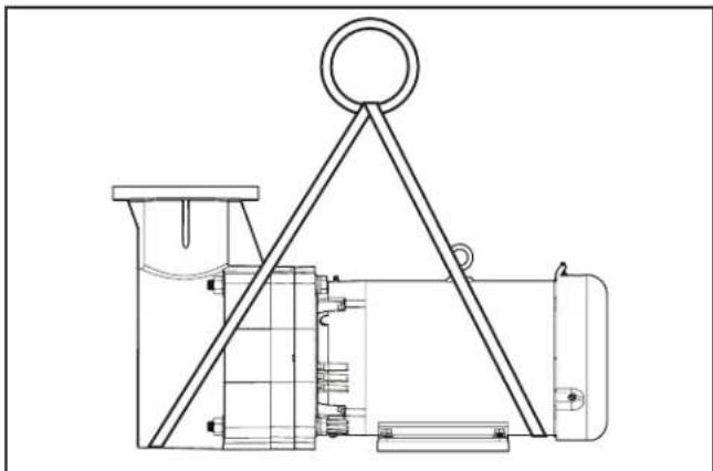 Jandy JCP051CTN - Pump Handling - 3