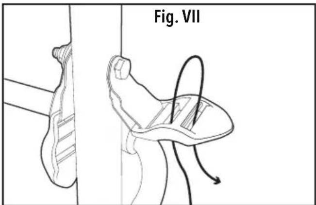 Fig. VII