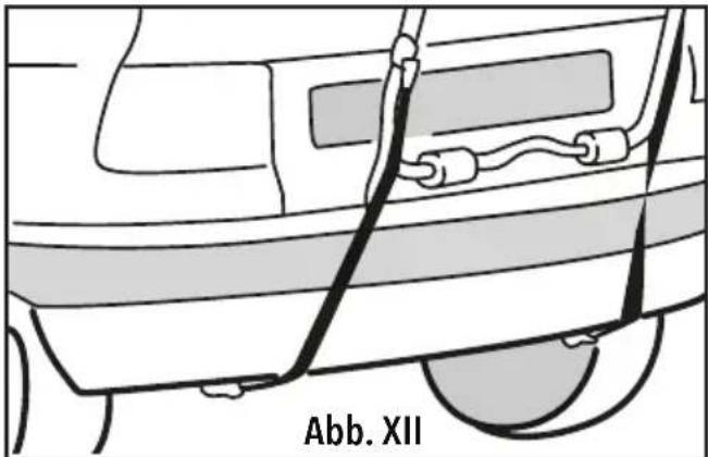 Abb. XII