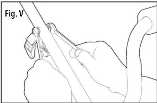 Fig. V