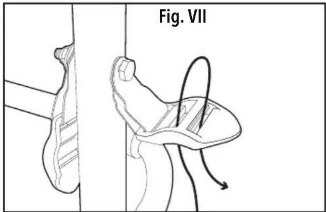 Fig. VII