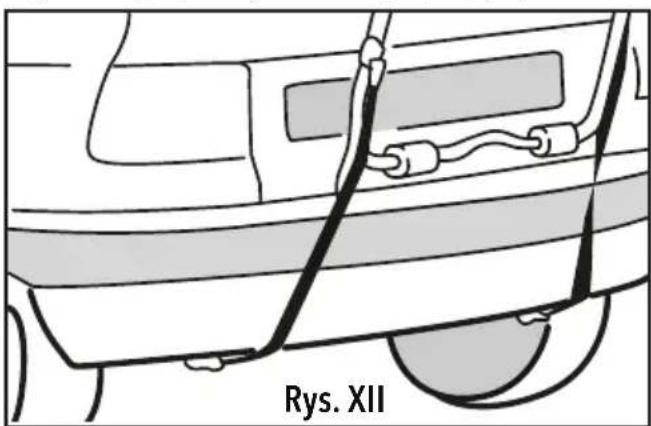 Rys. XII