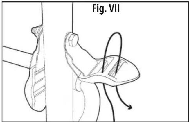 Fig. VII