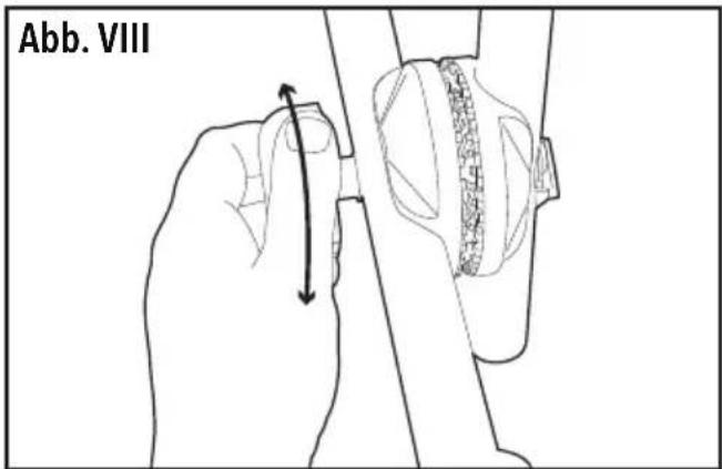 Abb. VIII