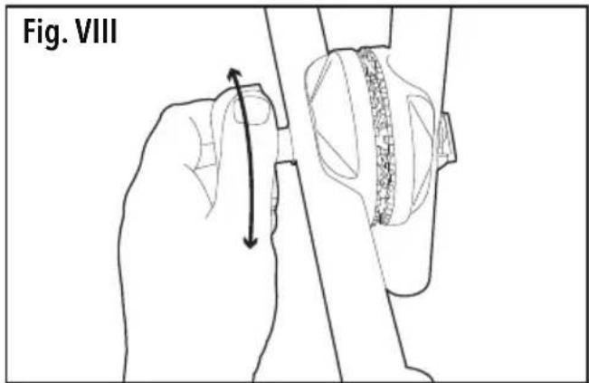 Fig. VIII