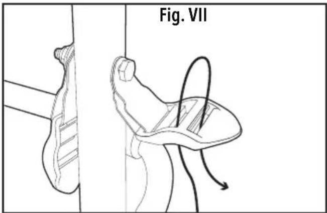 Fig. VII