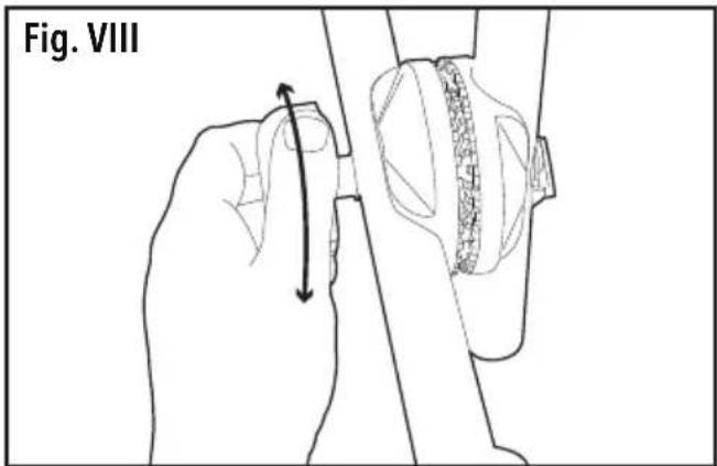 Fig. VIII